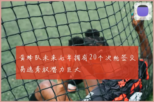 黄蜂队未来七年拥有20个次轮签交易选秀权潜力巨大