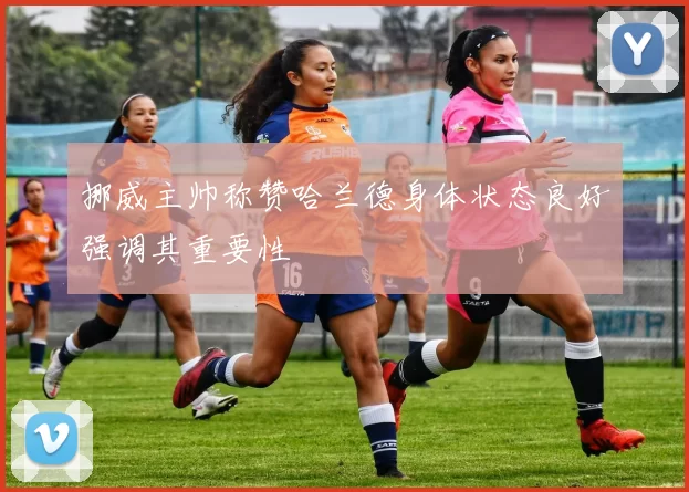 挪威主帅称赞哈兰德身体状态良好强调其重要性